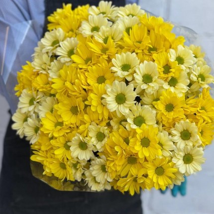 желтая кустовая хризантема - купить с доставкой в по Зернограду